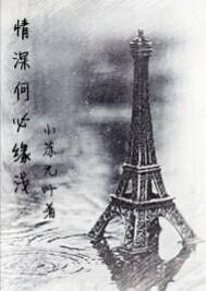 何必情深以往